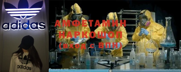 ГАЛЛЮЦИНОГЕННЫЕ ГРИБЫ Няндома