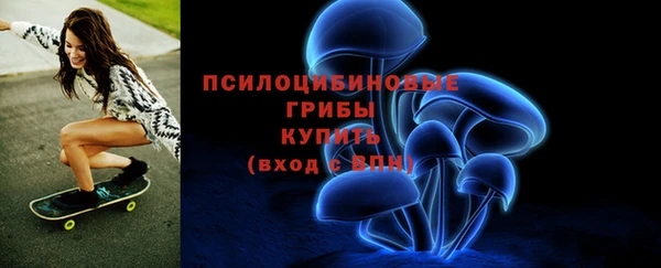 ГАЛЛЮЦИНОГЕННЫЕ ГРИБЫ Няндома