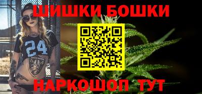 гидра Заводоуковск