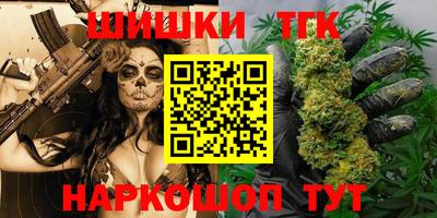 гидра Заводоуковск