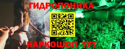 стаф Заволжье