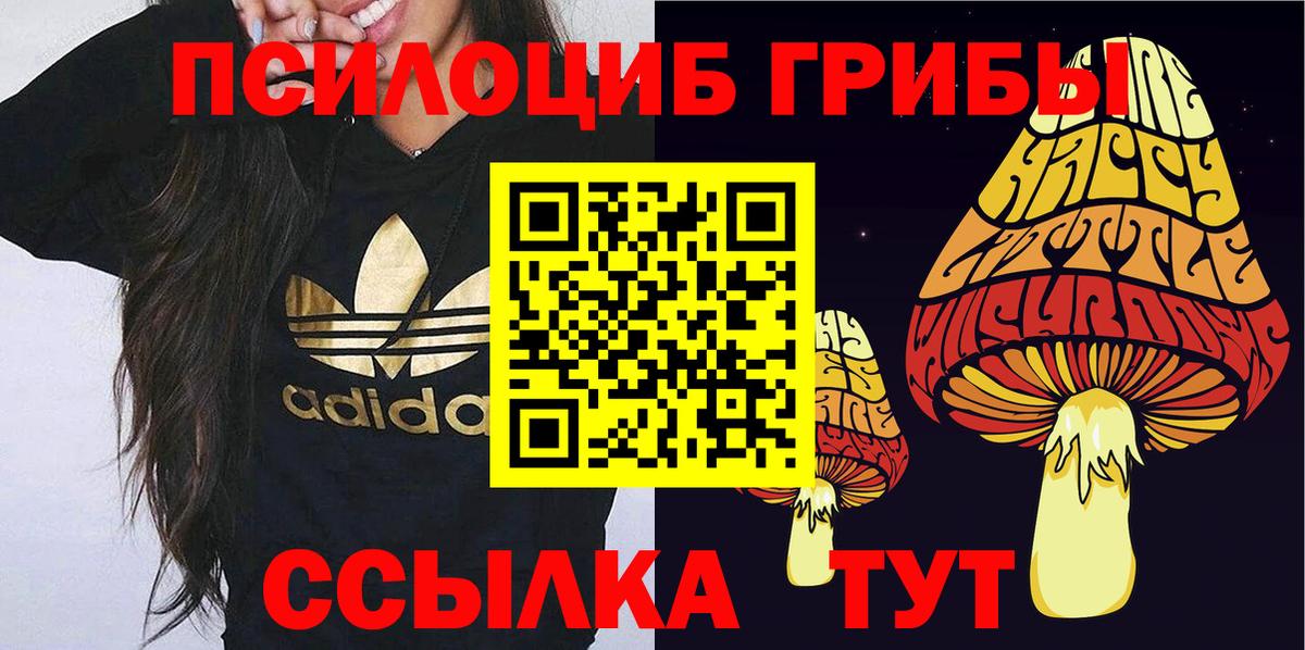 Галлюциногенные грибы MAGIC MUSHROOMS Кинель