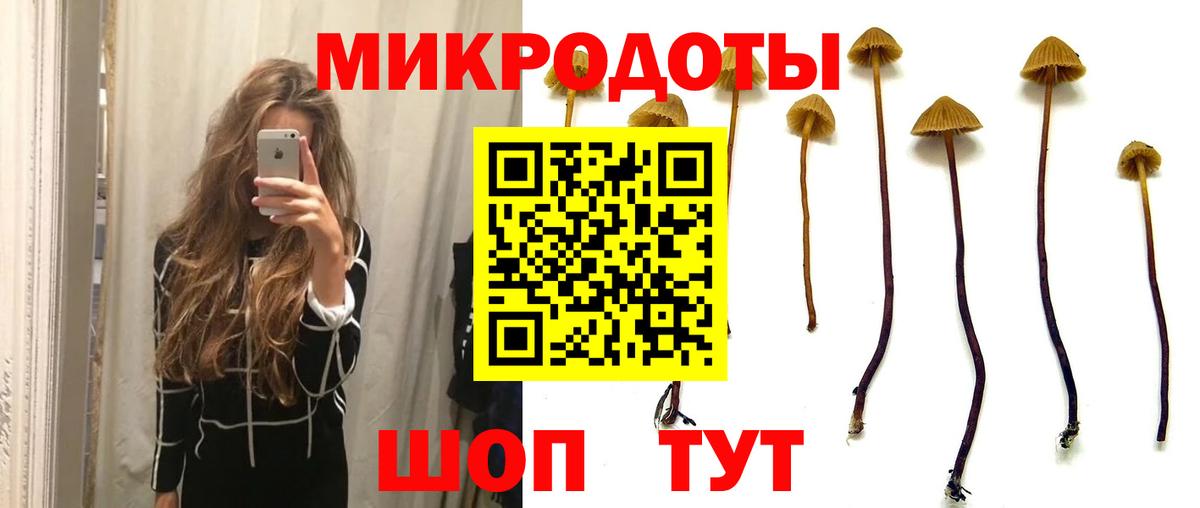 Галлюциногенные грибы мухоморы Кинель