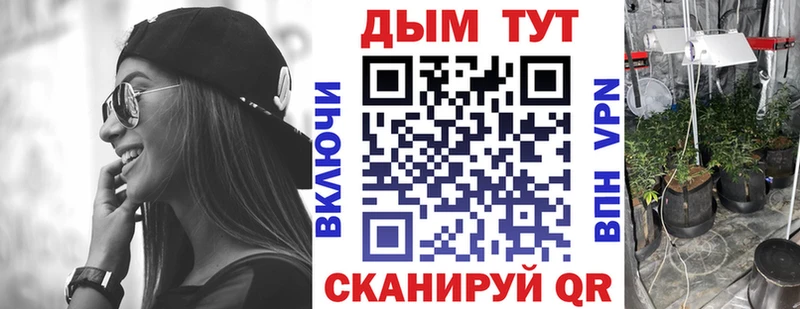 Канабис сатива  где продают наркотики  Кинель 